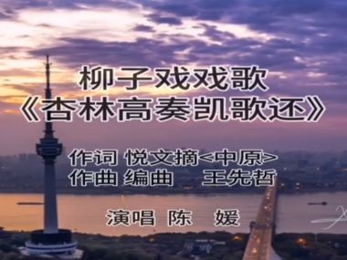 山东省柳子剧团---《杏林高奏凯歌还》