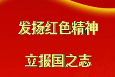 聊城---《发扬红色精神 立报国之志》