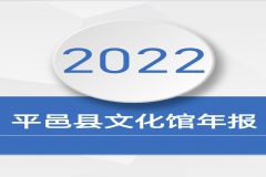 平邑县群众文化服务中心2022年年报