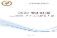 费县文化馆2022年年报