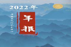 平原县文化艺术中心2022年年报