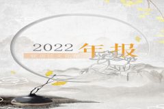 淄博市张店区文化馆2022年年报