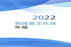 郯城县文化馆2022年年报