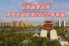 枣庄市市中区文化馆2022年年报