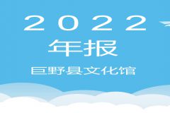 巨野县文化馆2022年年报