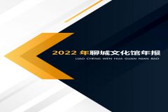 聊城市文化馆2022年年报