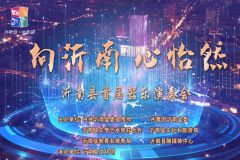 【直播】临沂市沂南县首届器乐演奏会暨第十九届广场文化艺术节文教专场